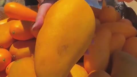 Fruit lover