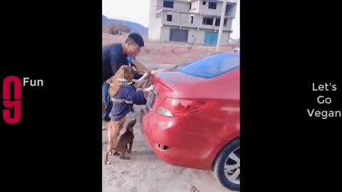 Very interesting and funny video 😂😂😂