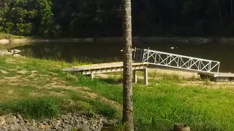 9.11.2024 The Barron River, Kuranda (4)