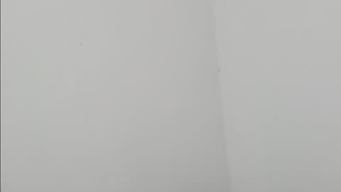 Man with gun 🔫 arrested in park near US Capitol