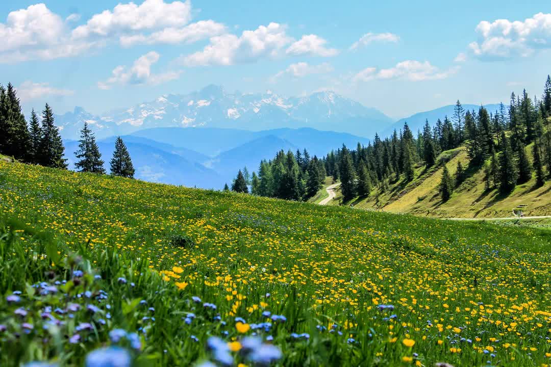 Beautiful scenery images