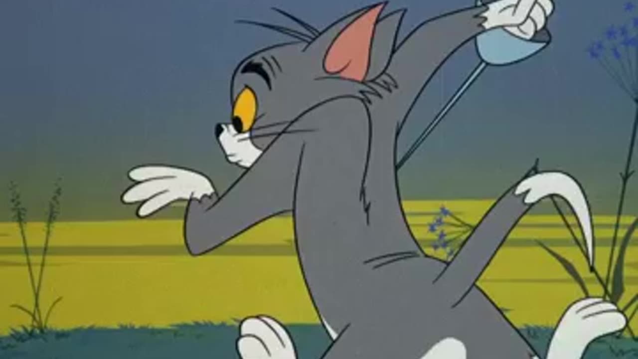 Tom and jerry | funny video