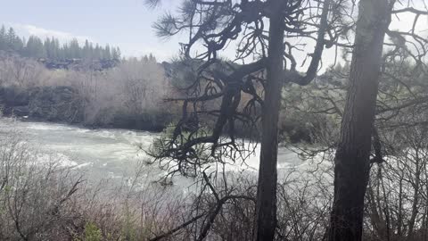 Exploring the Spectacular Shoreline of Wild & Scenic Deschutes River – Central Oregon – 4K