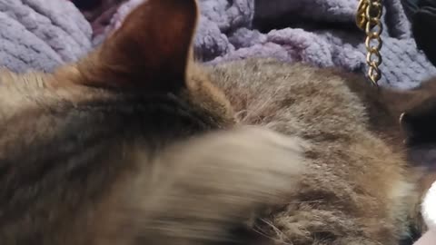 Fred washing his ear