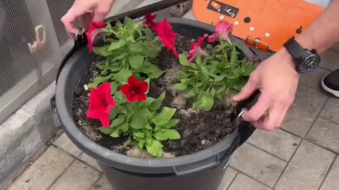 DIY