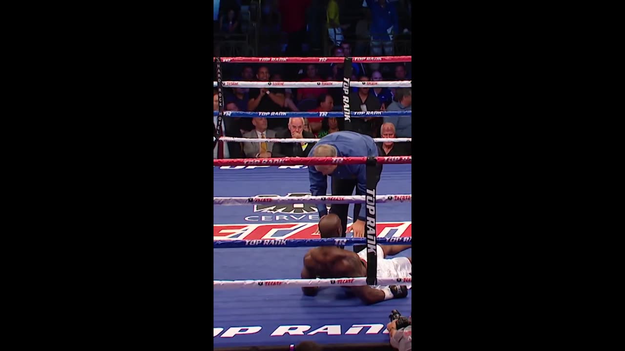 Boxing KO Part 1