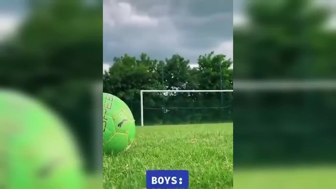 funny videos