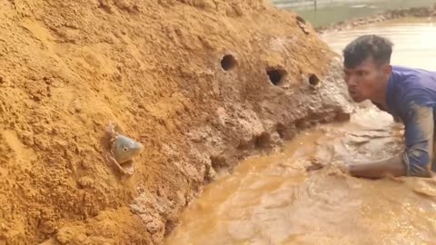 Amazing Daily Life Fish Catching Experience In River Side Dry Place Underground Big Stuck Fish Catch