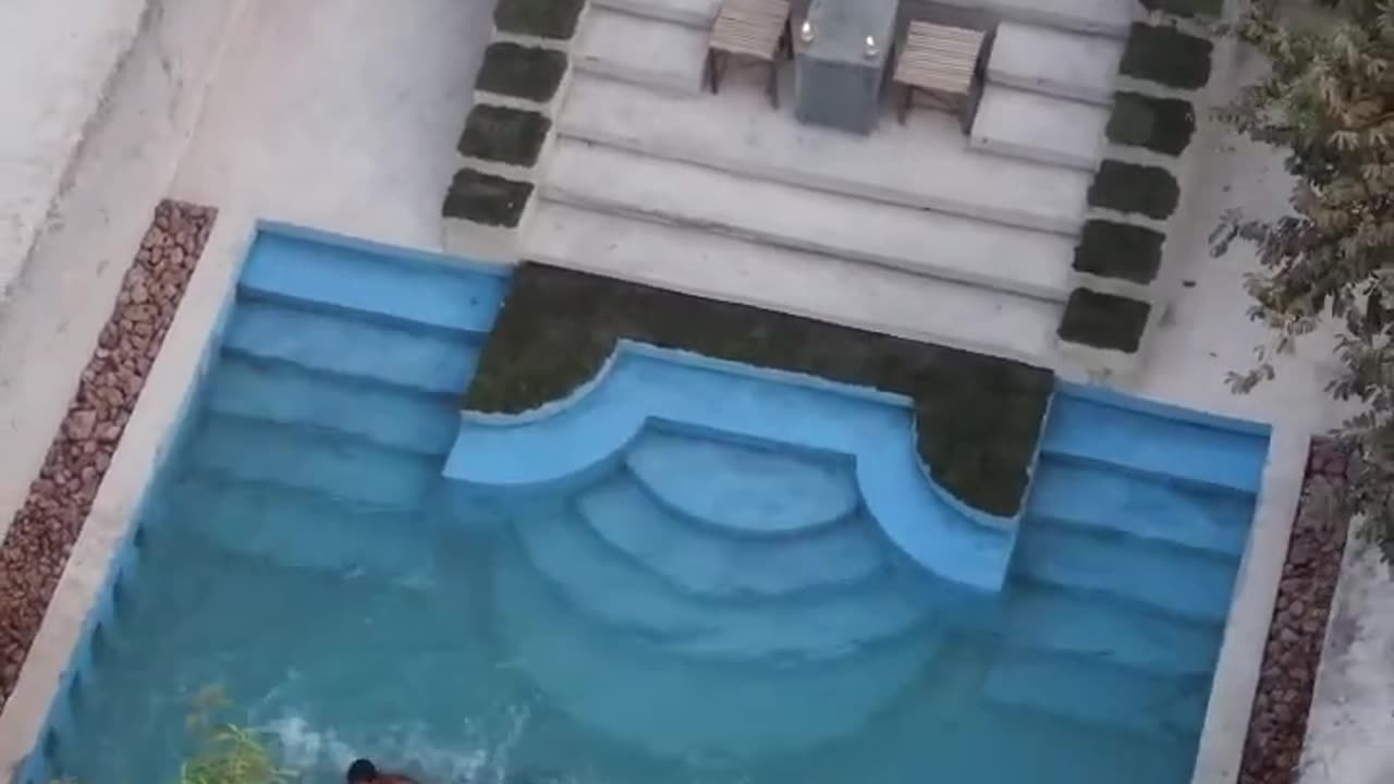 Amazing building skills #primitive #swimming #primitivetechnology #build #primitive-life