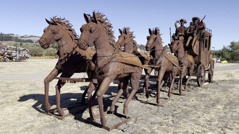 Horses