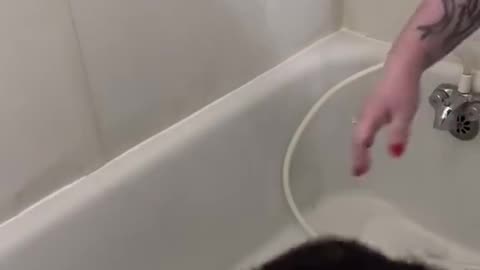 Women Don't Put Me In Bathtub #funny#comey