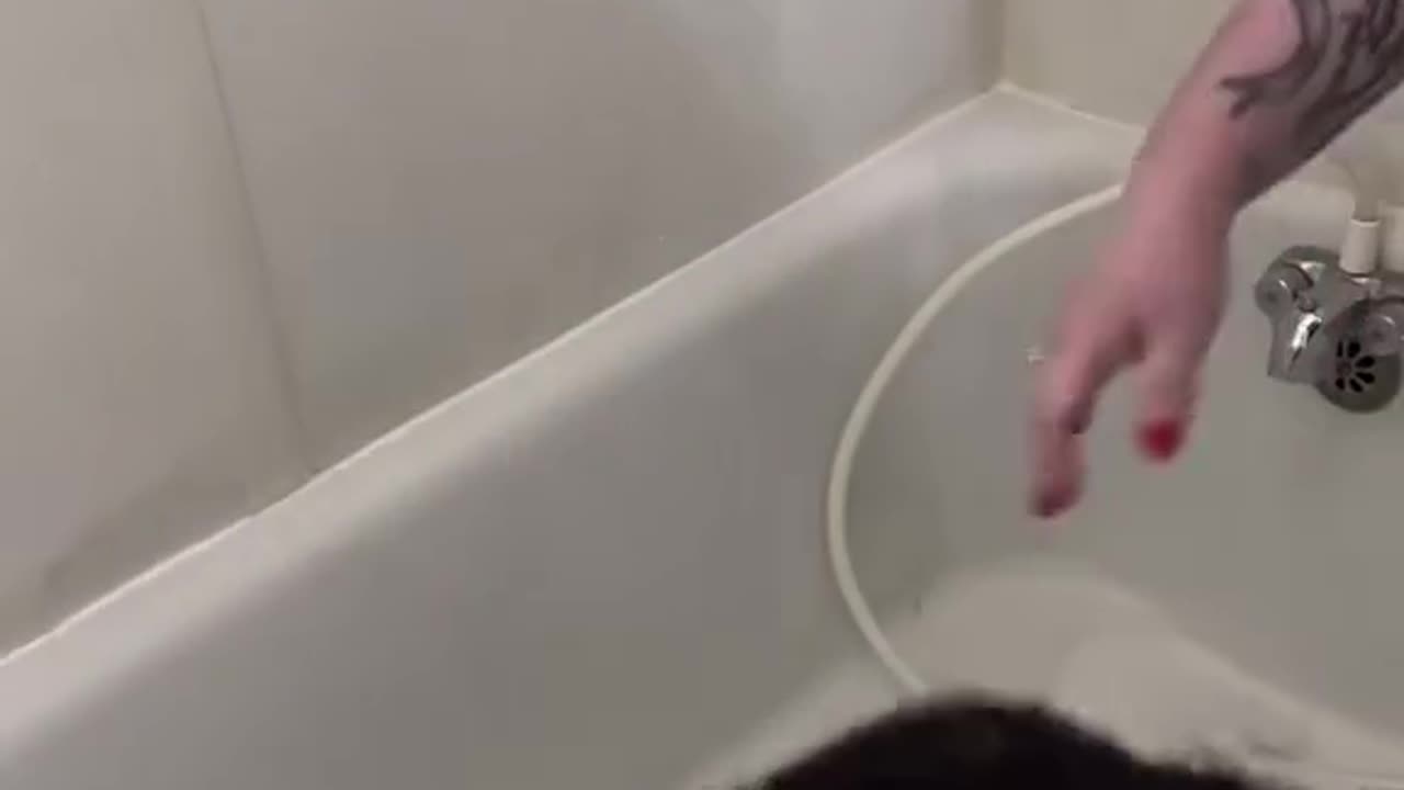 Women Don't Put Me In Bathtub #funny#comey