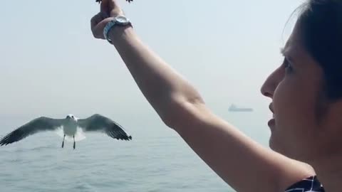 🕊🕊#birds#Love#smile#mumbaigateofindia
