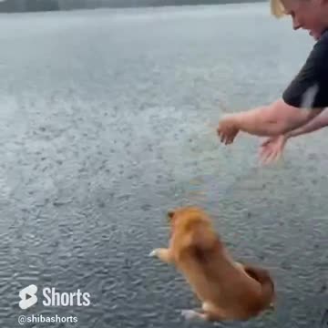 Sometimes a Swim in the Rain is Just What the Doctor Ordered