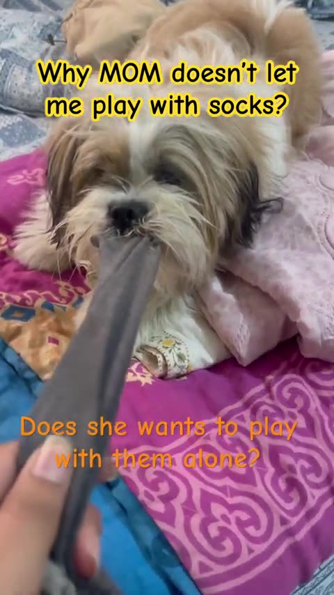 Sugar Defender™ - Advanced Support for Healthy Blood Sugar Levels BUY NOW AND SAVE