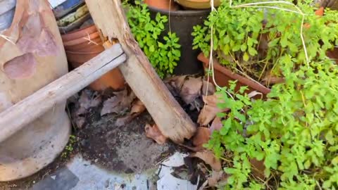 2022-12-01 (6) - toiy en approche (live parralèle à Meutemediatique) - Twitch Decheterie