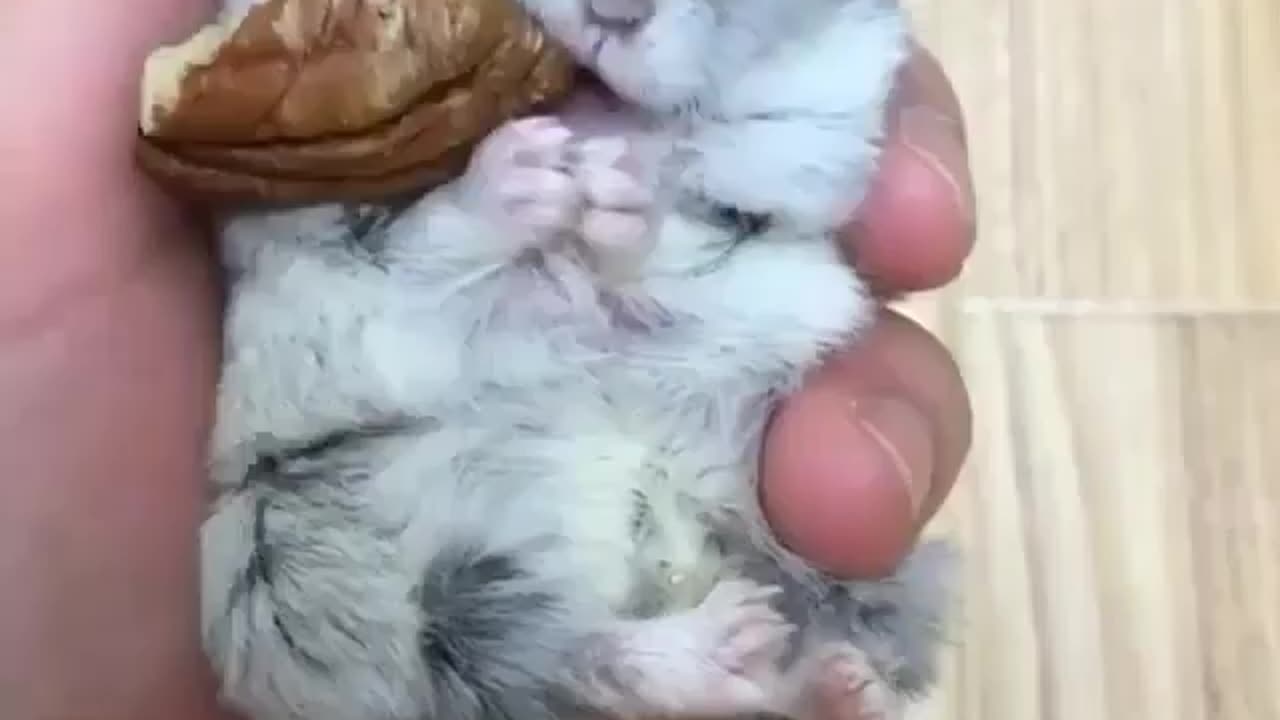 What a cutie