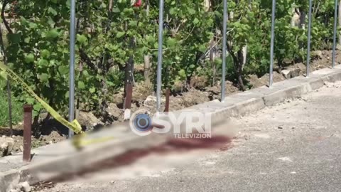 Vendi i krimit në Elbasan