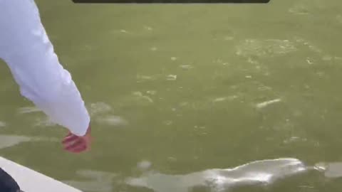 Homey Did Say Don't Put Your Hands In The Water...
