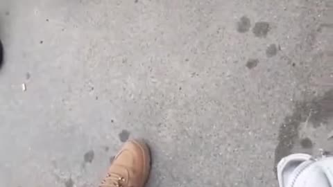 Ukrainian military commissars grab people on the streets