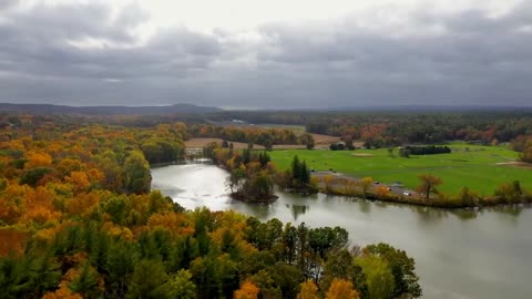 Enchanting Autumn Forests with Beautiful Piano Music