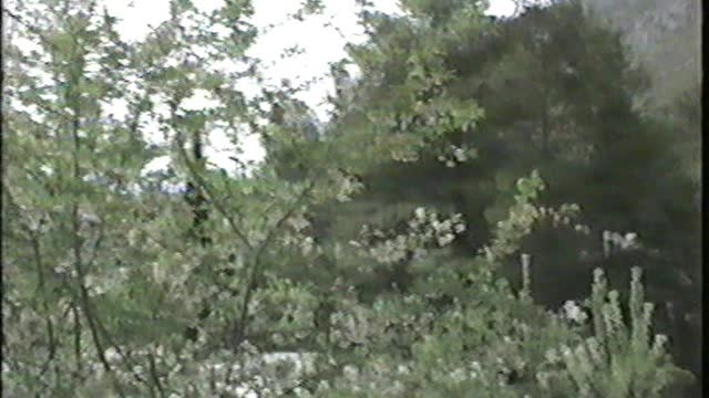 1998 Trip to Greece and Turkey – JVC Version Part 2 (low audio)