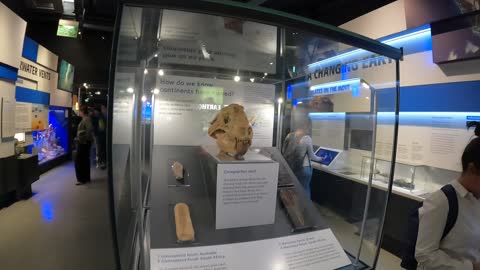 Geology of our planet. London museum 7th Nov 2022