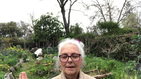 Stormy Spring day in the Garden... Sharing a 5min Conversation that filled my Heart and Soul!