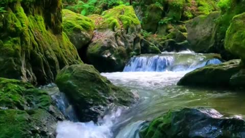 Beauty Of Water Fall