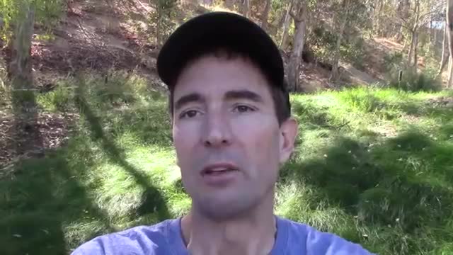 105. Update Chris Turner Exchange Icke Shifting Oct 27-2014