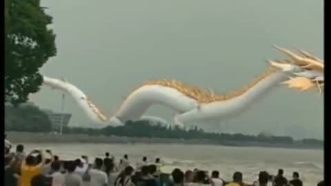 Tik tok chinese dragon