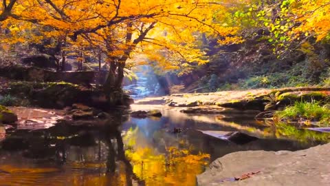 Enchanting Autumn Forests with Beautiful Piano Music