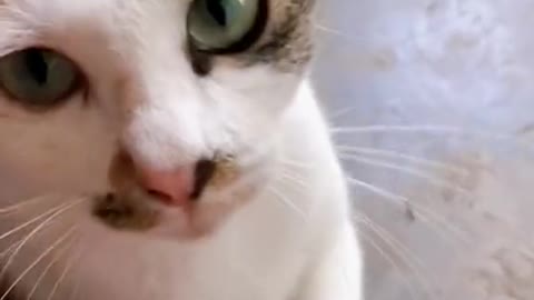 Nice to meet you