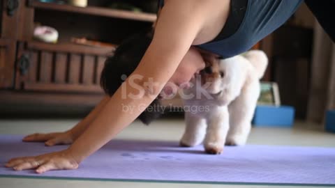 Hot girl with bull dog puppi enjoy with girl