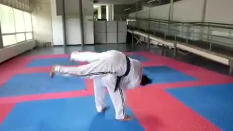 Hapkido