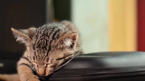 i want sleep don't disturb me