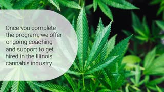 Illinois Dispensary Training Options