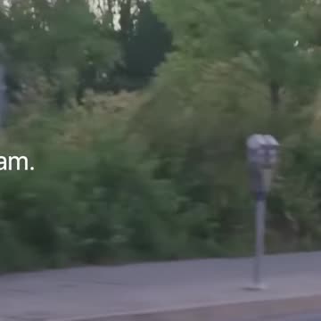 Unleash Your Greatness: Embracing Your Potential without Apologies