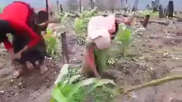 wow