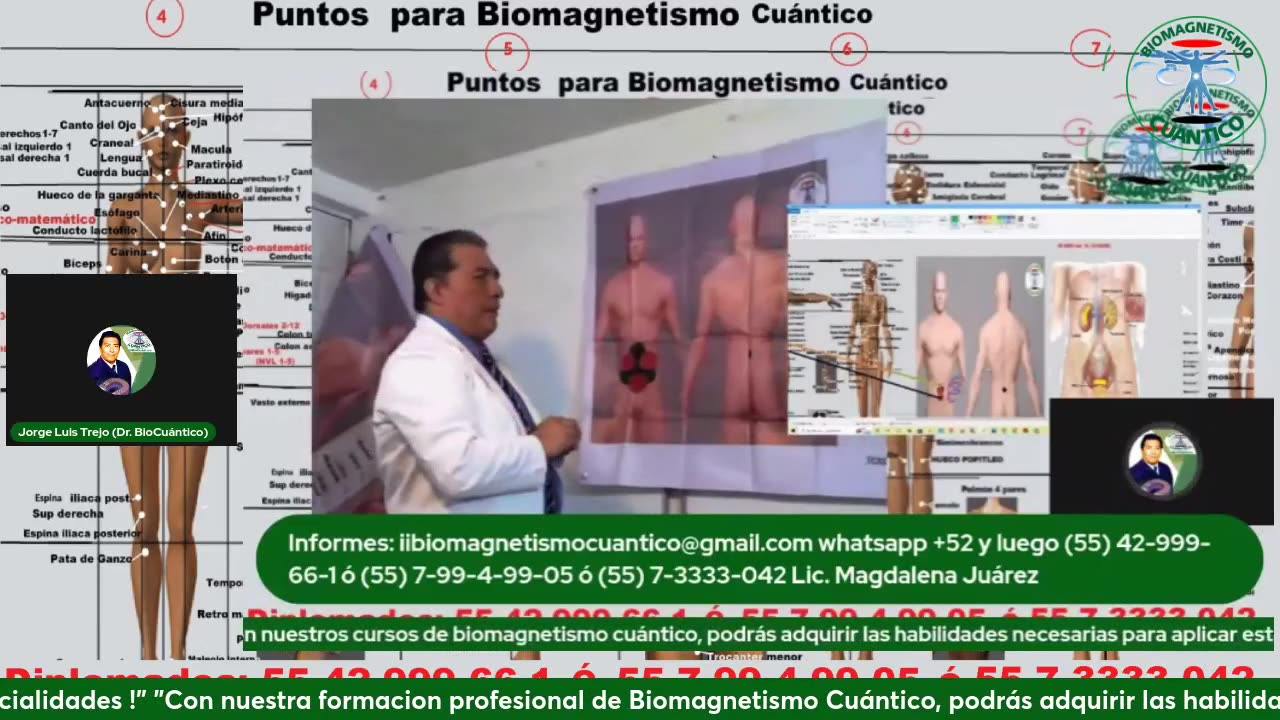 Biomagnetismo Cuántico: el Poder de la Intuición: Descubre Cómo Anticipamos Emociones Futuras