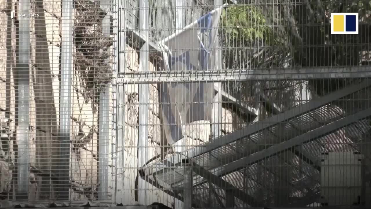 Israel installs AI-powered