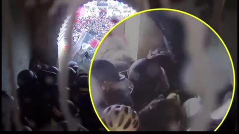Lady in Red being ruthlessly beaten during January 6th.