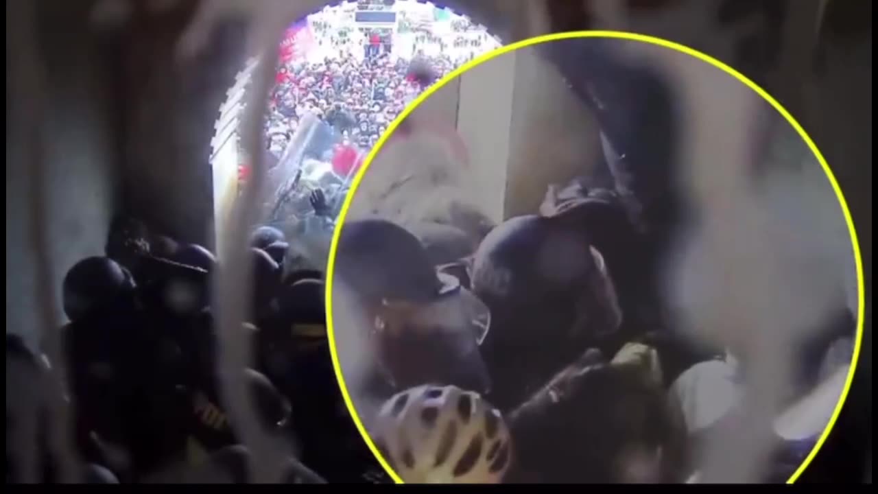 Lady in Red being ruthlessly beaten during January 6th.