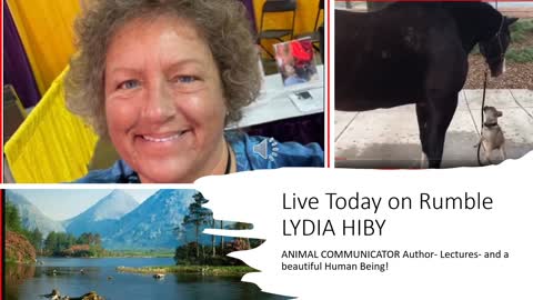 Join me live with Lydia Hiby - Animal Communicator