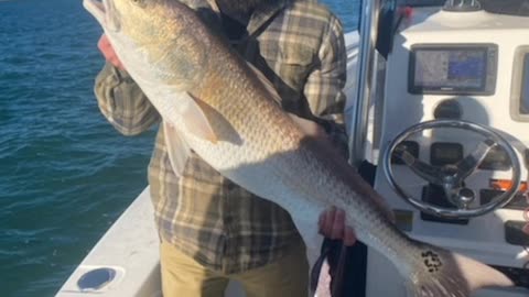 Red Drum fishing in Murrells Inlet, South Carolina!