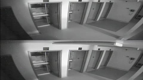 1704CRIB01CribAnalysisArea_2021-01-05_01h00min01s467ms.mp4