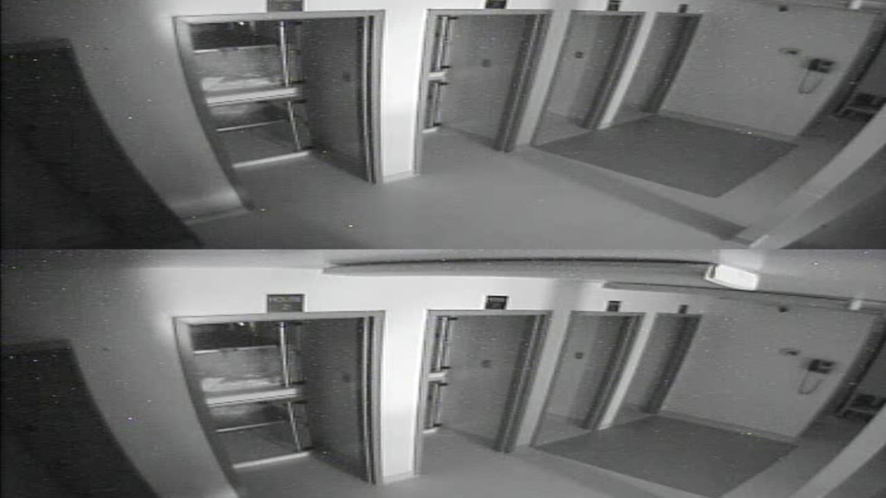 1704CRIB01CribAnalysisArea_2021-01-05_01h00min01s467ms.mp4