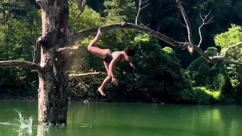 epic fail tree dive