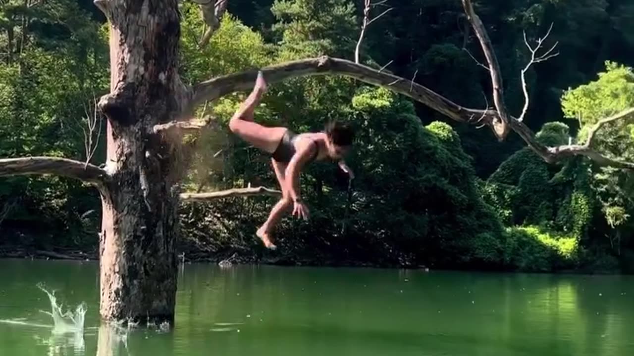 epic fail tree dive