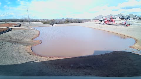 The Pond